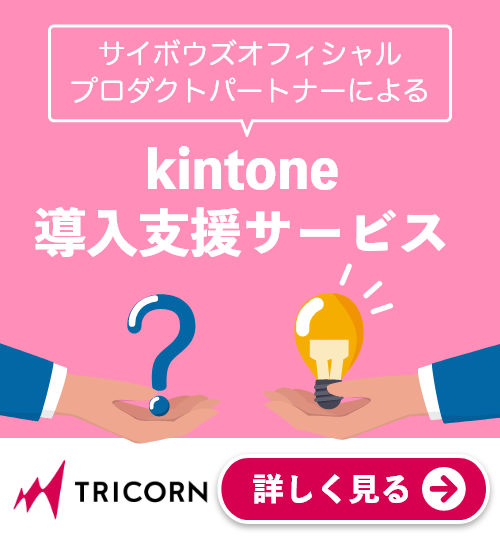 kintone導入支援支援サービス | トライコーン