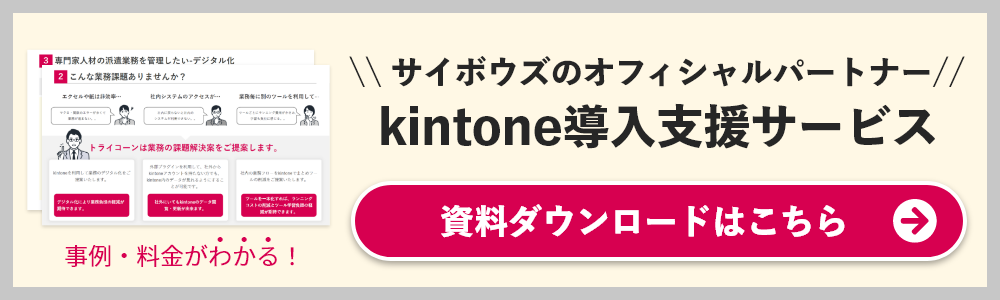 kintone導入支援サービス